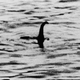 Illustration for article titled Hulu orders horror anthology based on Nathan Ballingrud’s iNorth American Lake Monsters/i